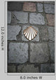 Concha Camino Santiago Wall Decal