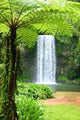 Millaa Millaa Falls Wall Decal
