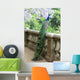 Peacock Fence Wall Decal