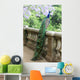 Peacock Fence Wall Decal