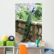 Peacock Fence Wall Decal
