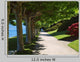 Tranquil Path Garden along Wall Decal