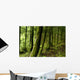 Verdant Forest Wall Decal