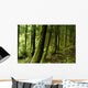 Verdant Forest Wall Decal