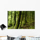 Verdant Forest Wall Decal