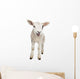 Lamb Wall Decal