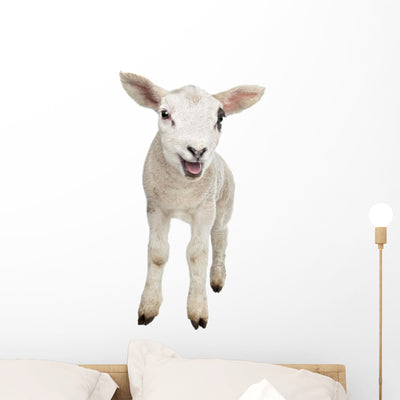 Lamb Wall Decal shown on a wall