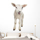 Lamb Wall Decal