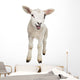 Lamb Wall Decal