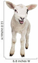 Lamb Wall Decal