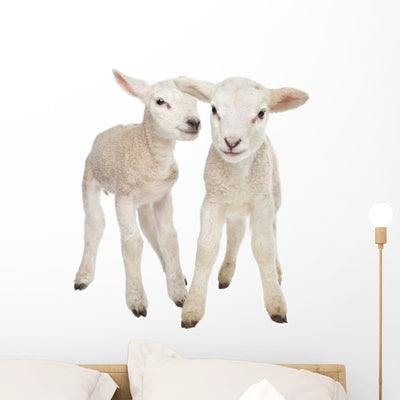 Two Little Lambs Wall Decal shown on a wall