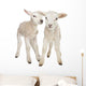 Two Little Lambs Wall Decal