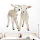 Two Little Lambs Wall Decal