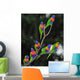 Australian Rainbow Lorikeets Gathered Wall Decal