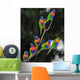 Australian Rainbow Lorikeets Gathered Wall Decal