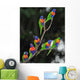 Australian Rainbow Lorikeets Gathered Wall Decal