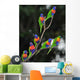 Australian Rainbow Lorikeets Gathered Wall Decal