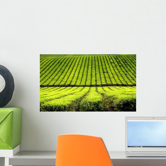 Tea Plantation Wall Decal