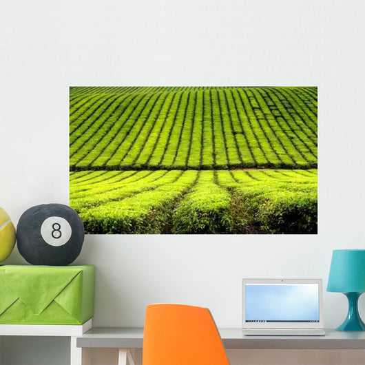 Tea Plantation Wall Decal