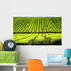 Tea Plantation Wall Decal