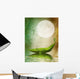 Fantasy Leaf Boat Wall Decal
