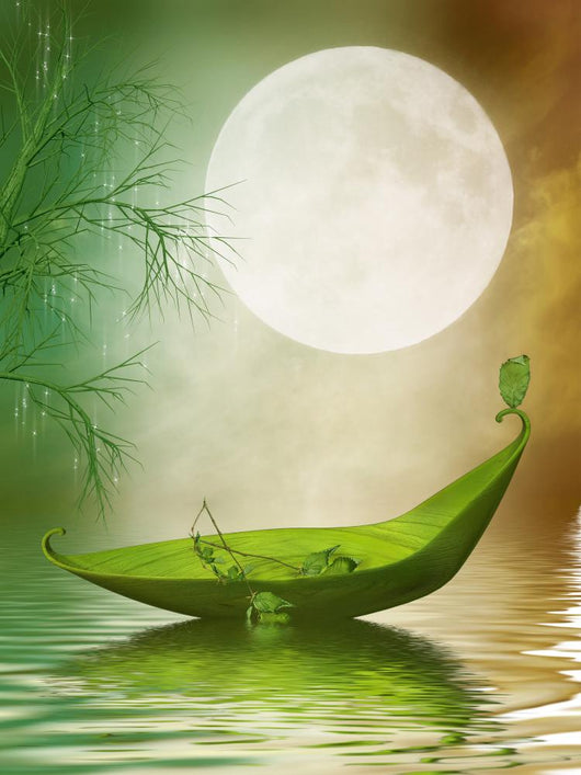 Fantasy Leaf Boat Wall Decal