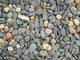 Pebble Wall Decal