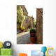 Narrow Alley with Old Wall Decal