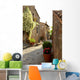 Narrow Alley with Old Wall Decal