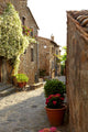 Narrow Alley with Old Wall Decal