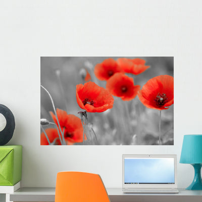Red Poppies on Black and White Background - Horizontal Wall Decal shown on a wall