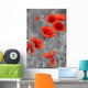 Red Poppies on Black and White Background - Vertical Wall Decal