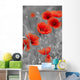 Red Poppies on Black and White Background - Vertical Wall Decal