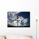 Pole Vaulter Against the Sky Wall Decal