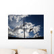 Pole Vaulter Against the Sky Wall Decal