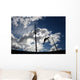 Pole Vaulter Against the Sky Wall Decal
