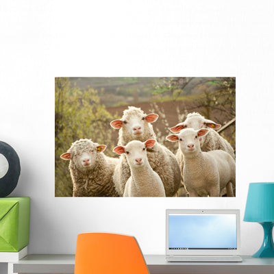Sheep Pasture Wall Decal shown on a wall