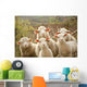 Sheep Pasture Wall Decal