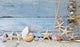 Maritime Beachcombing Shells and Wall Decal