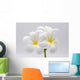 Flowers Frangipani Wall Decal
