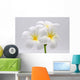 Flowers Frangipani Wall Decal