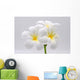 Flowers Frangipani Wall Decal