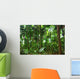 Beautiful Rain Forest Trees Wall Decal