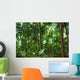 Beautiful Rain Forest Trees Wall Decal