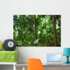 Beautiful Rain Forest Trees Wall Decal