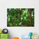 Beautiful Rain Forest Trees Wall Decal