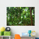 Beautiful Rain Forest Trees Wall Decal