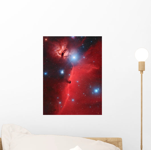 Pferdekopf-nebel Wall Decal