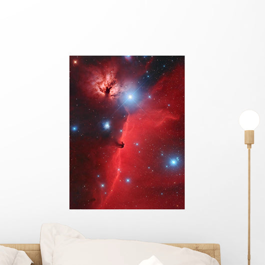 Pferdekopf-nebel Wall Decal