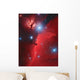 Pferdekopf-nebel Wall Decal